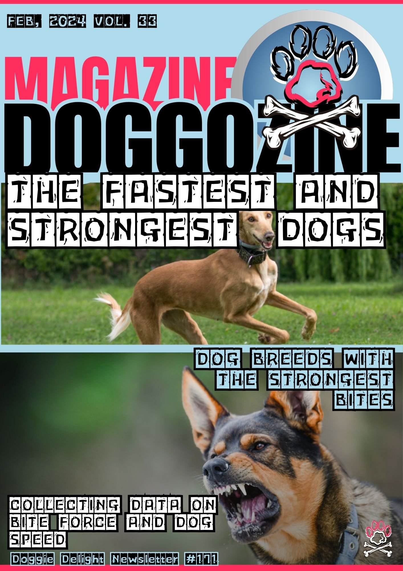 Fastest and strongest dogs in the world
