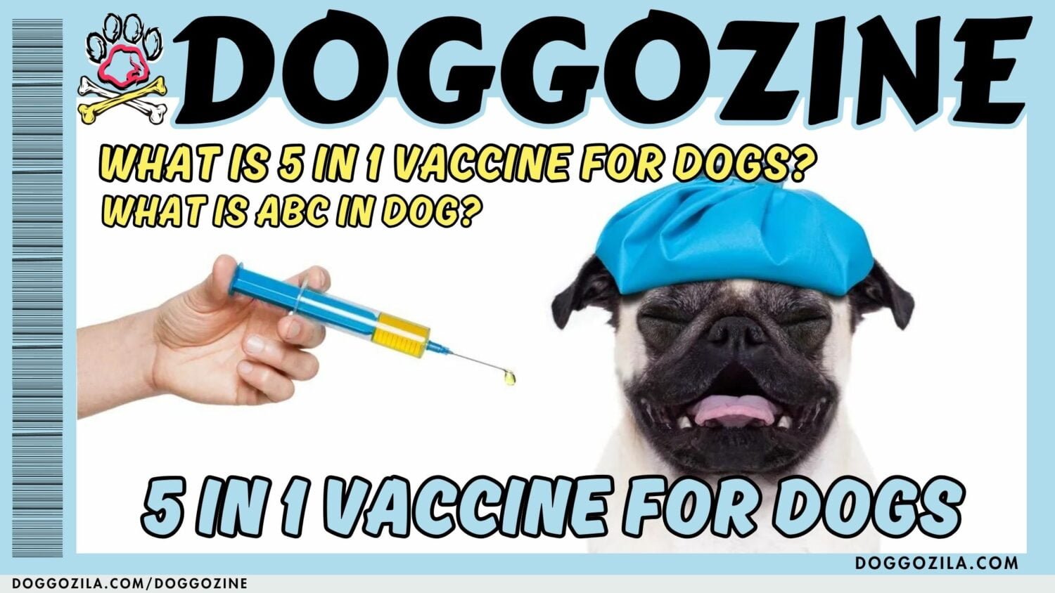 5 IN 1 VACCINE FOR DOGS