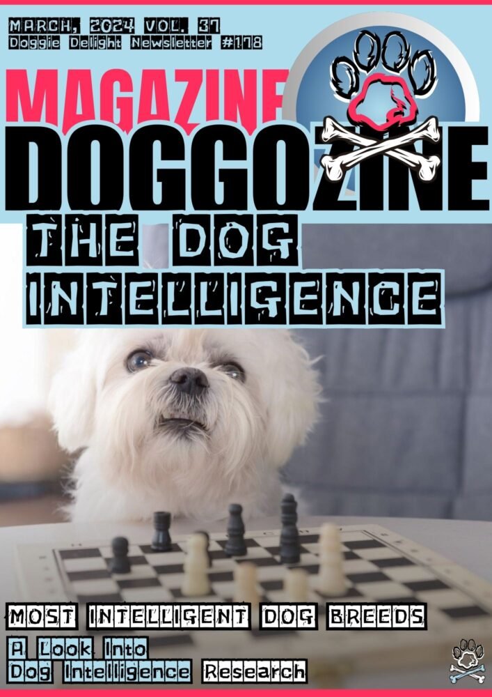 DOG INTELLIGENCE