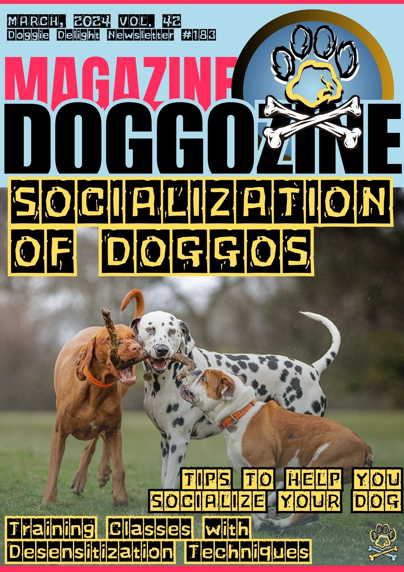DOG SOCIALIZATION