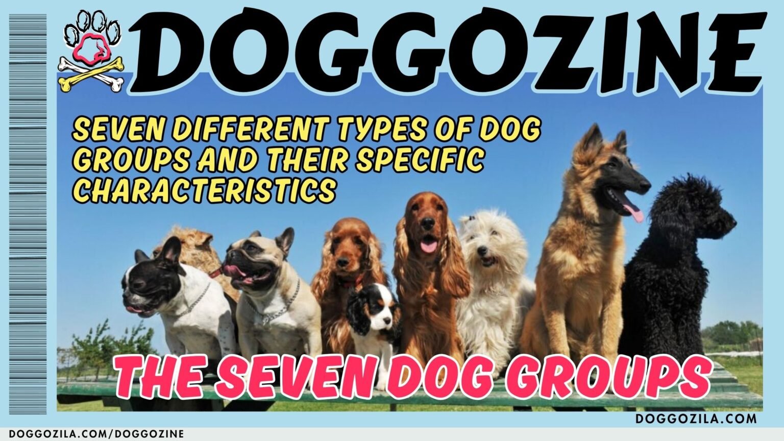 THE SEVEN DOG GROUPS