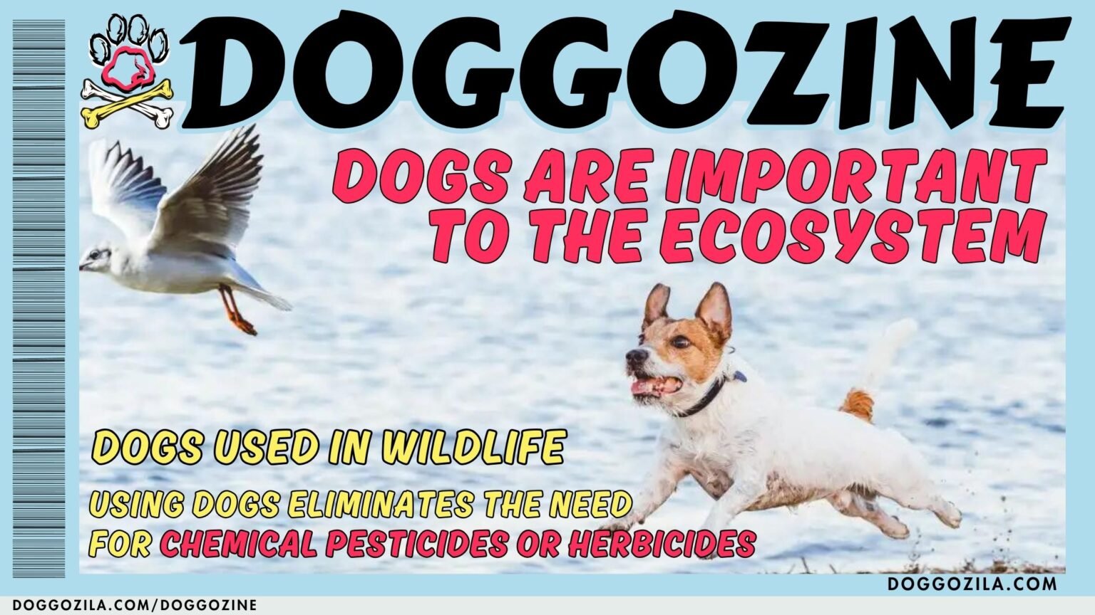 DOGS ARE IMPORTANT TO THE ECOSYSTEM