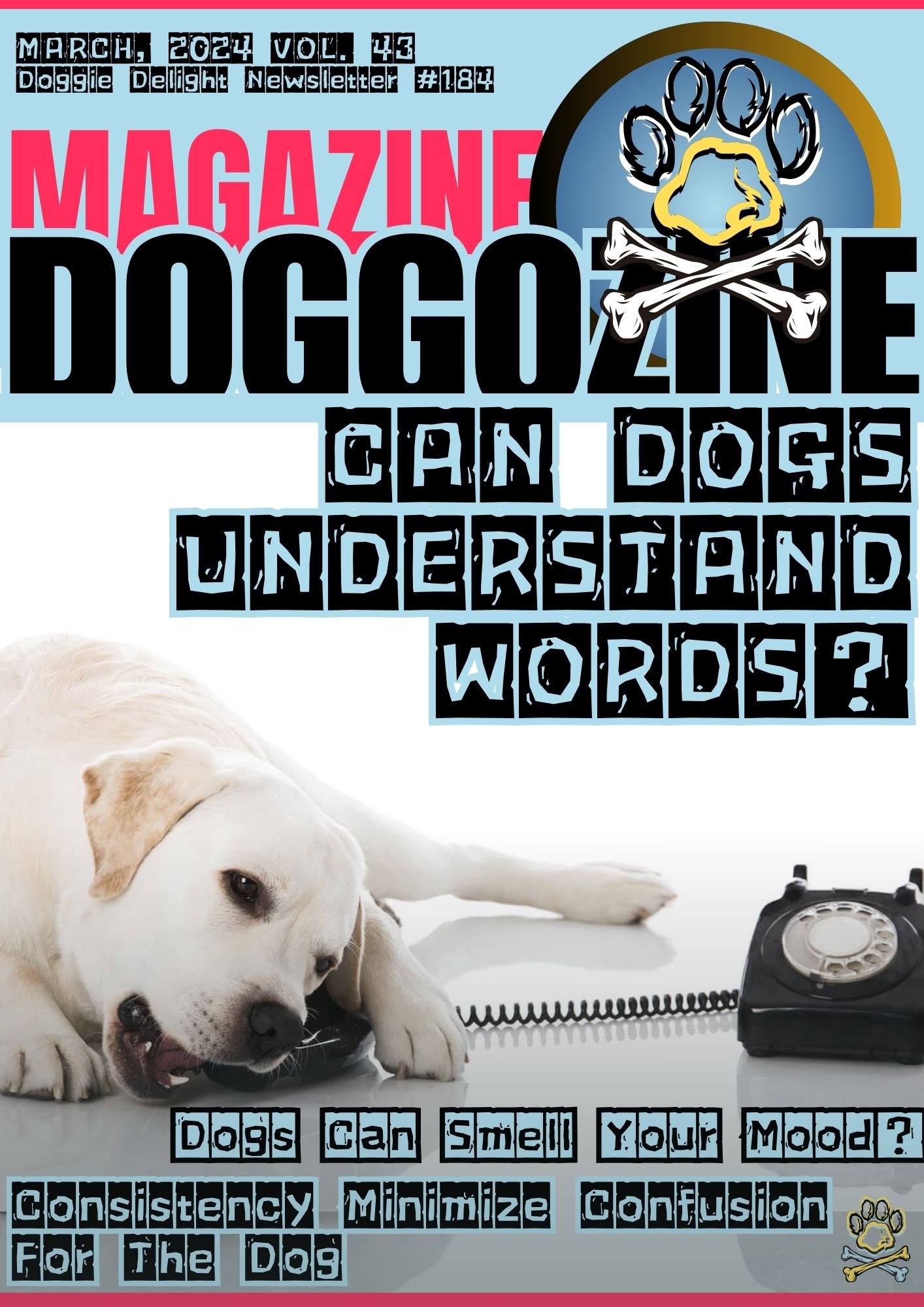 CAN DOGS UNDERSTAND WORDS