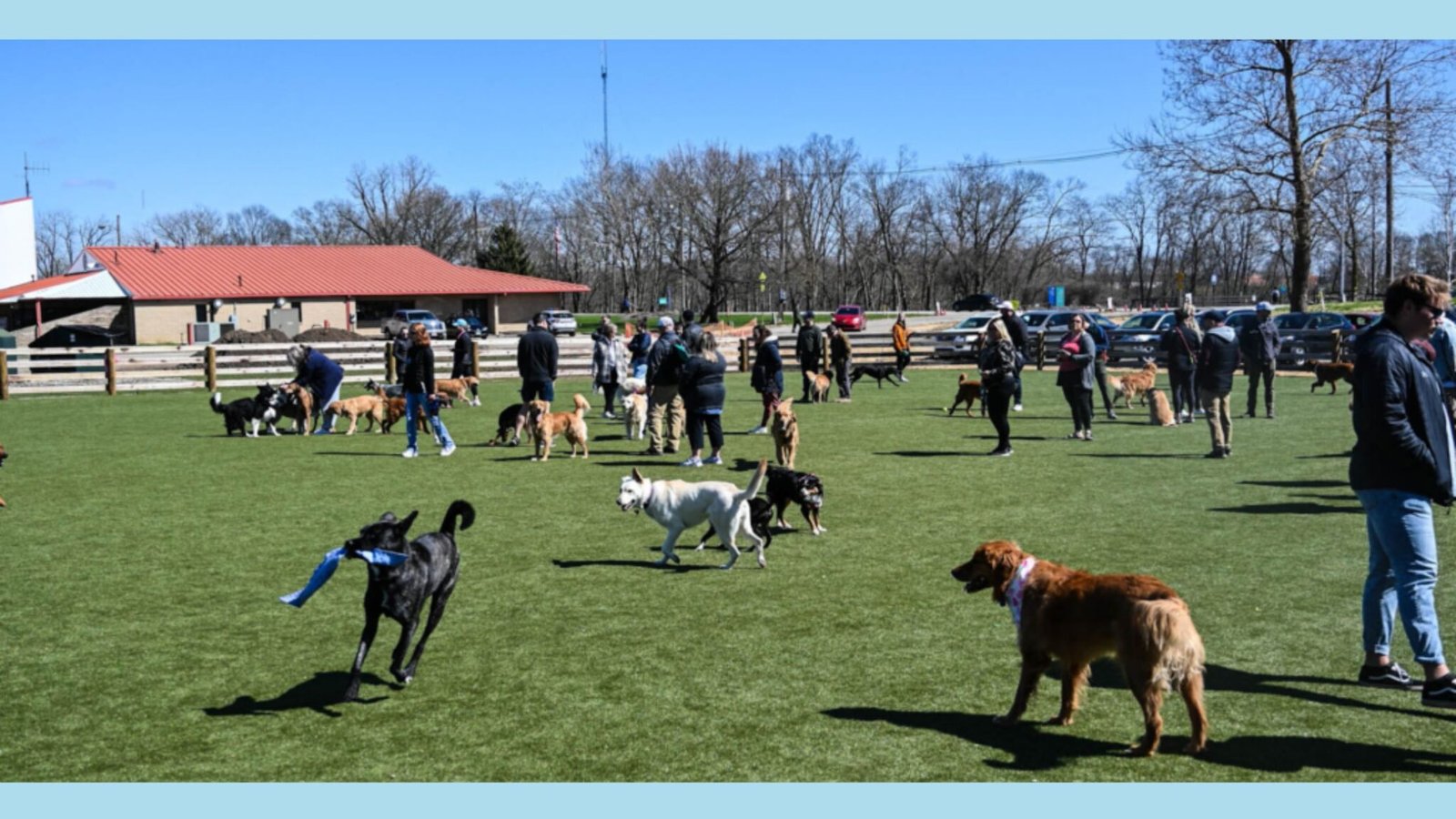 DOGFRIENDLY PARADISE