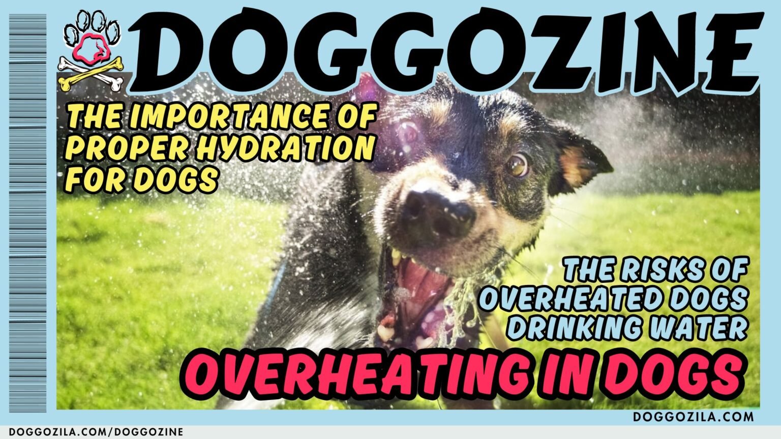OVERHEATING IN DOGS