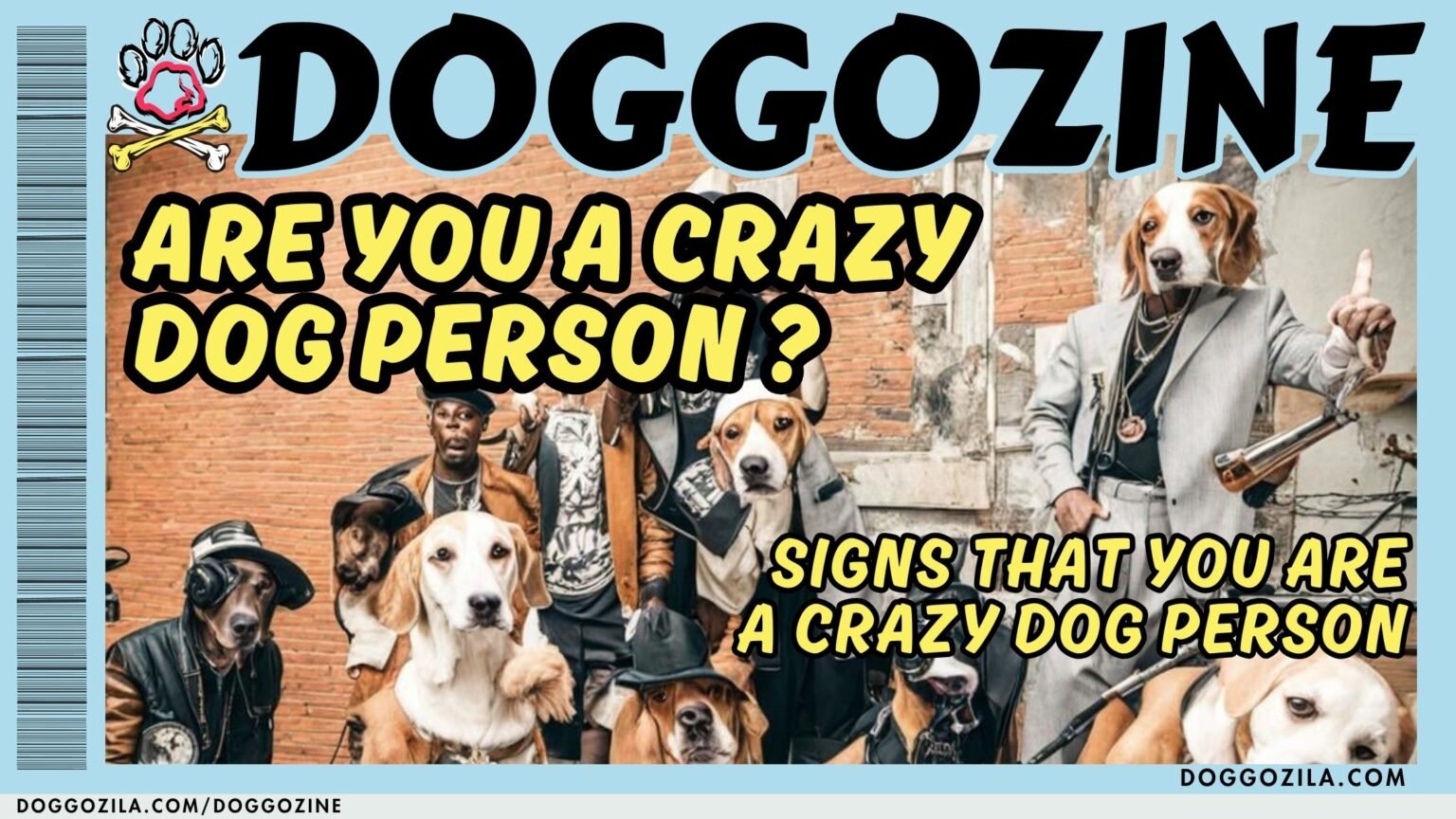 crazy dog person