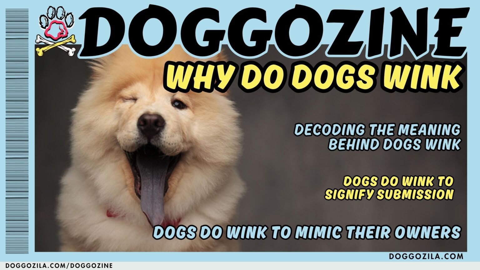 why do dogs wink