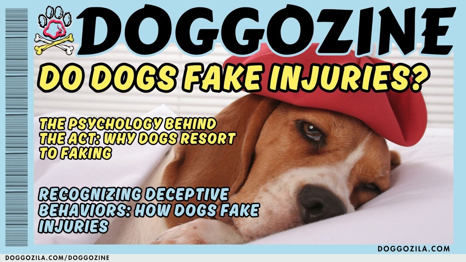DO DOGS FAKE INJURIES