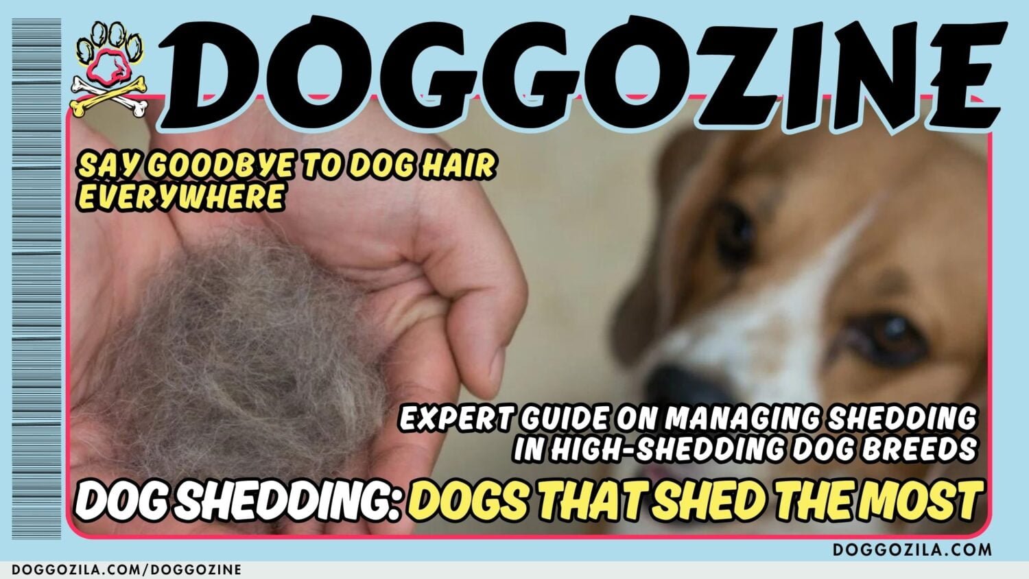 doggozine cover