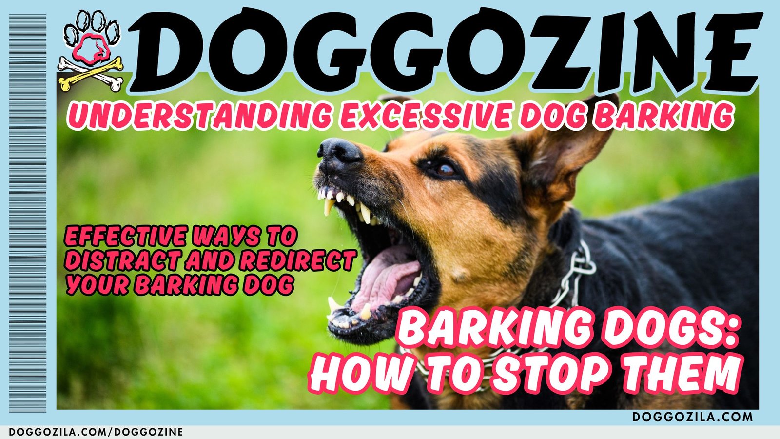 Barking Dogs: Expert Tips How To Stop Them