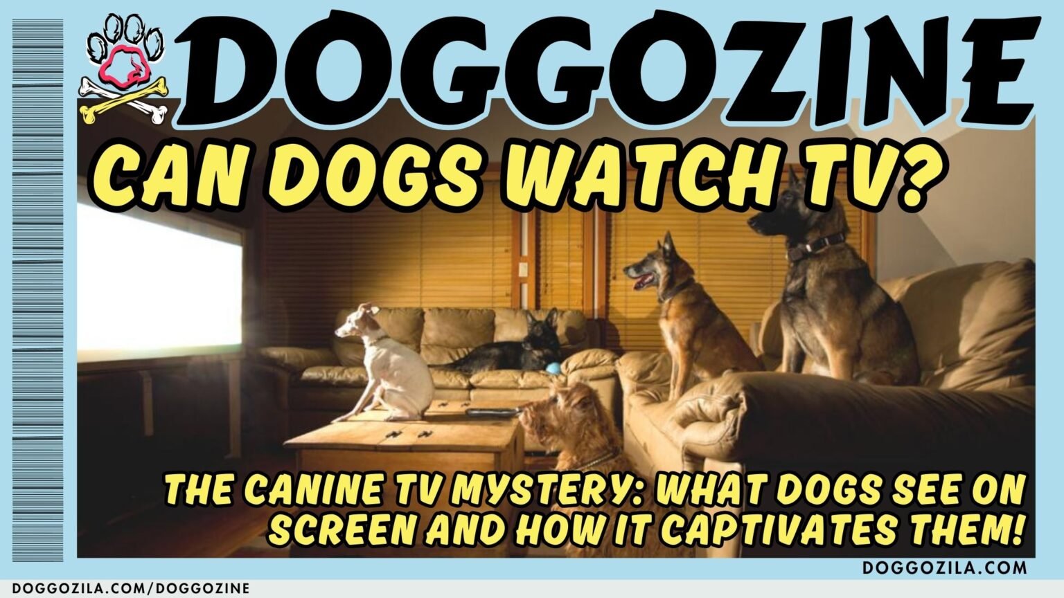 can dogs watch tv
