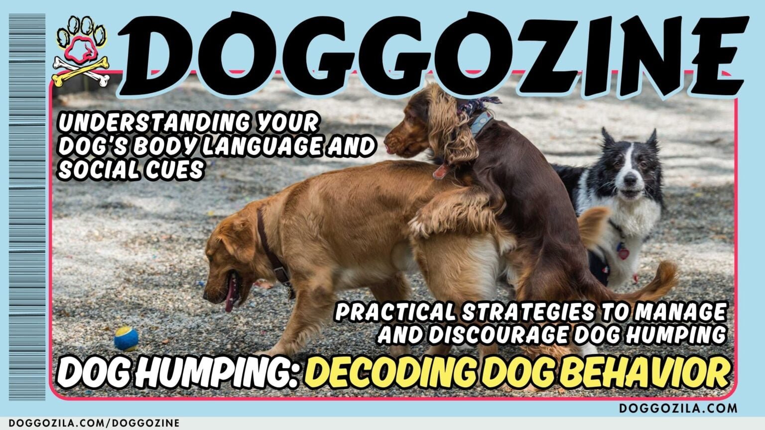 magazine for dogs doggozine