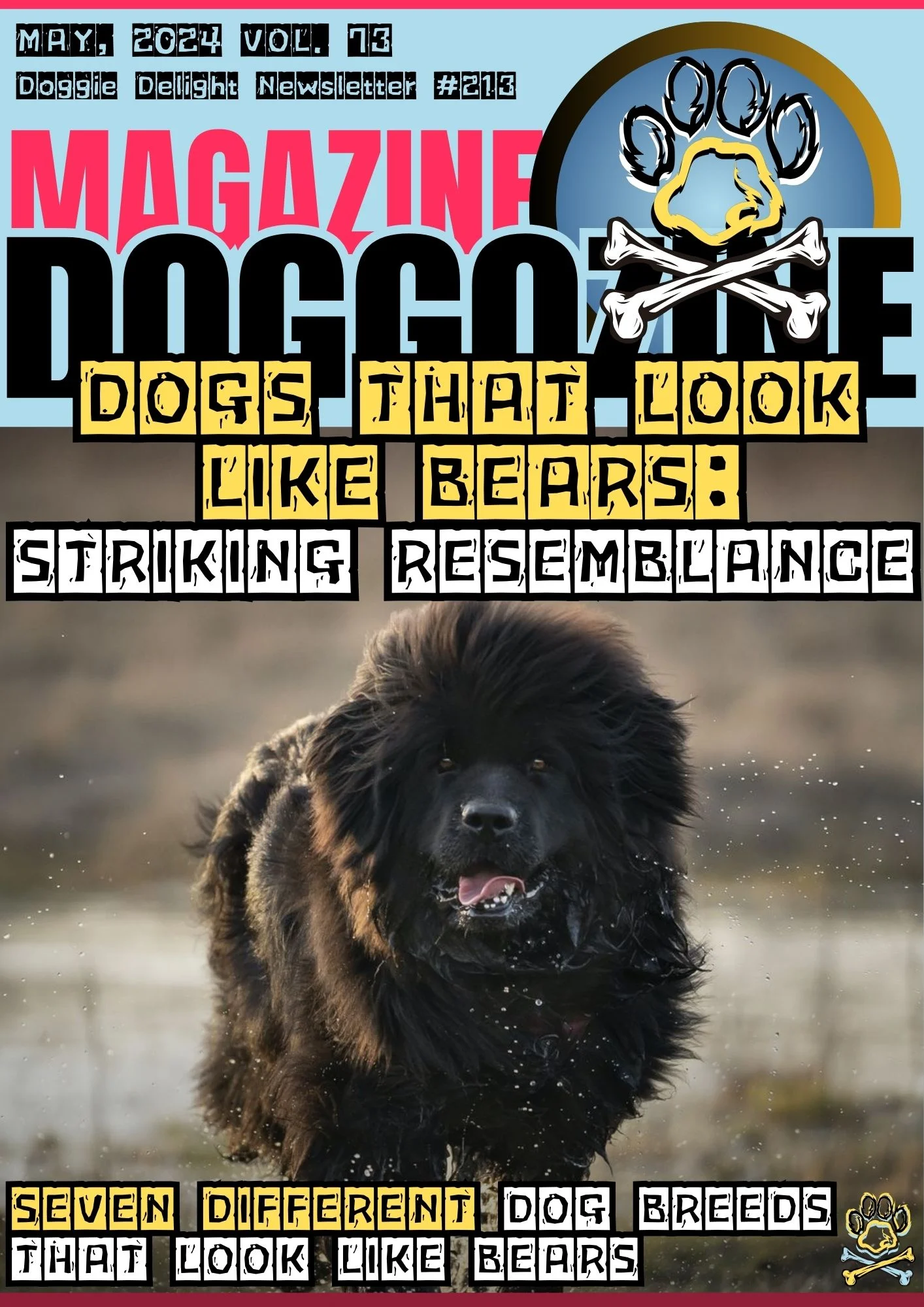 dogs that look like bears