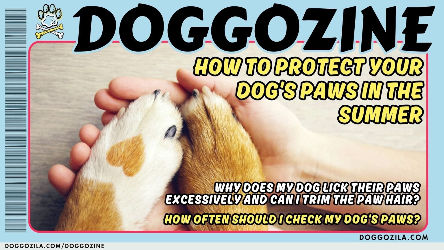 protect your dog paws in summer