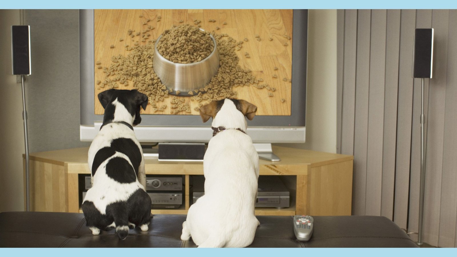 two dogs watching dog food show