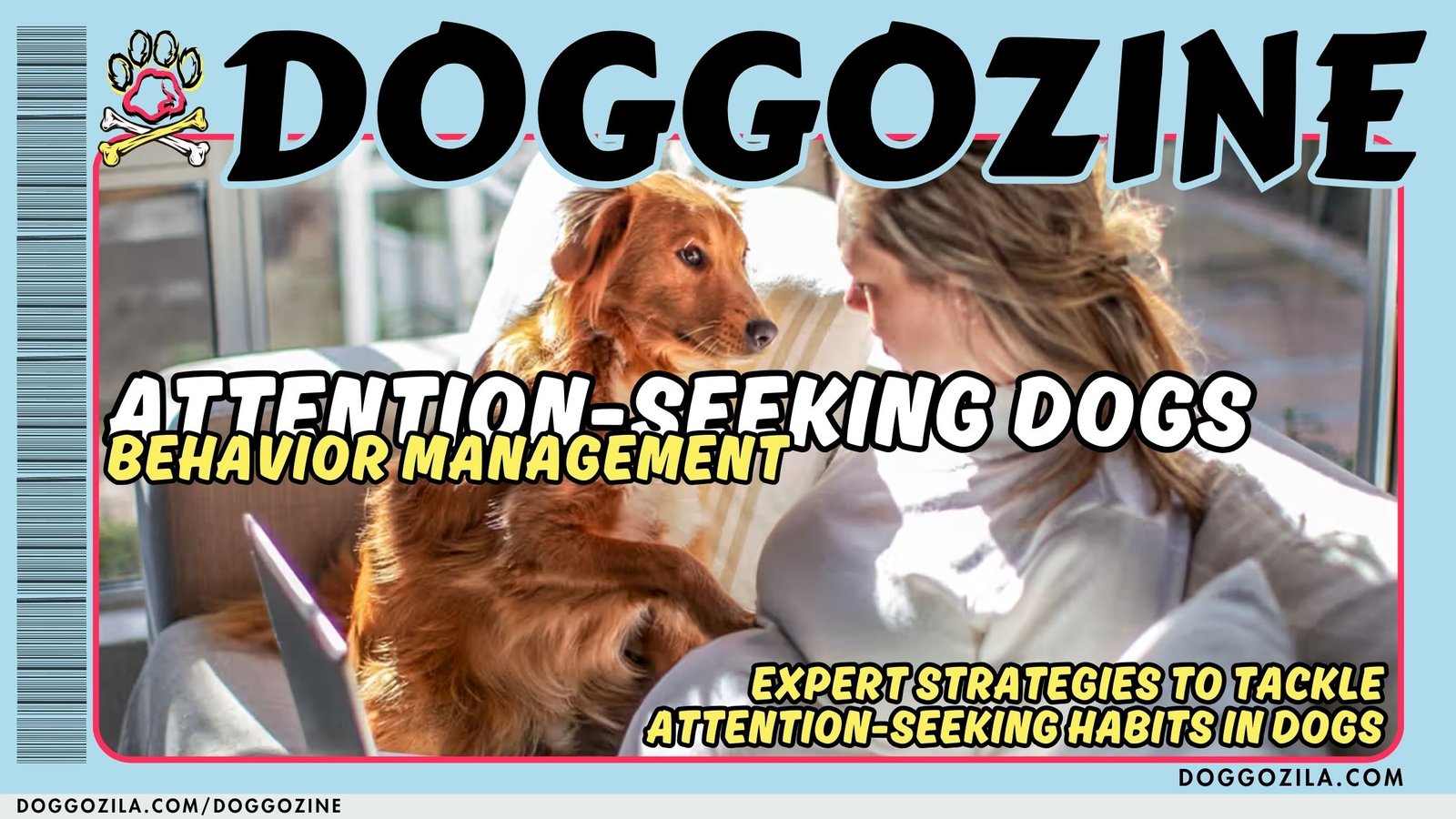 Attention Seeking Dogs: Behavior Management