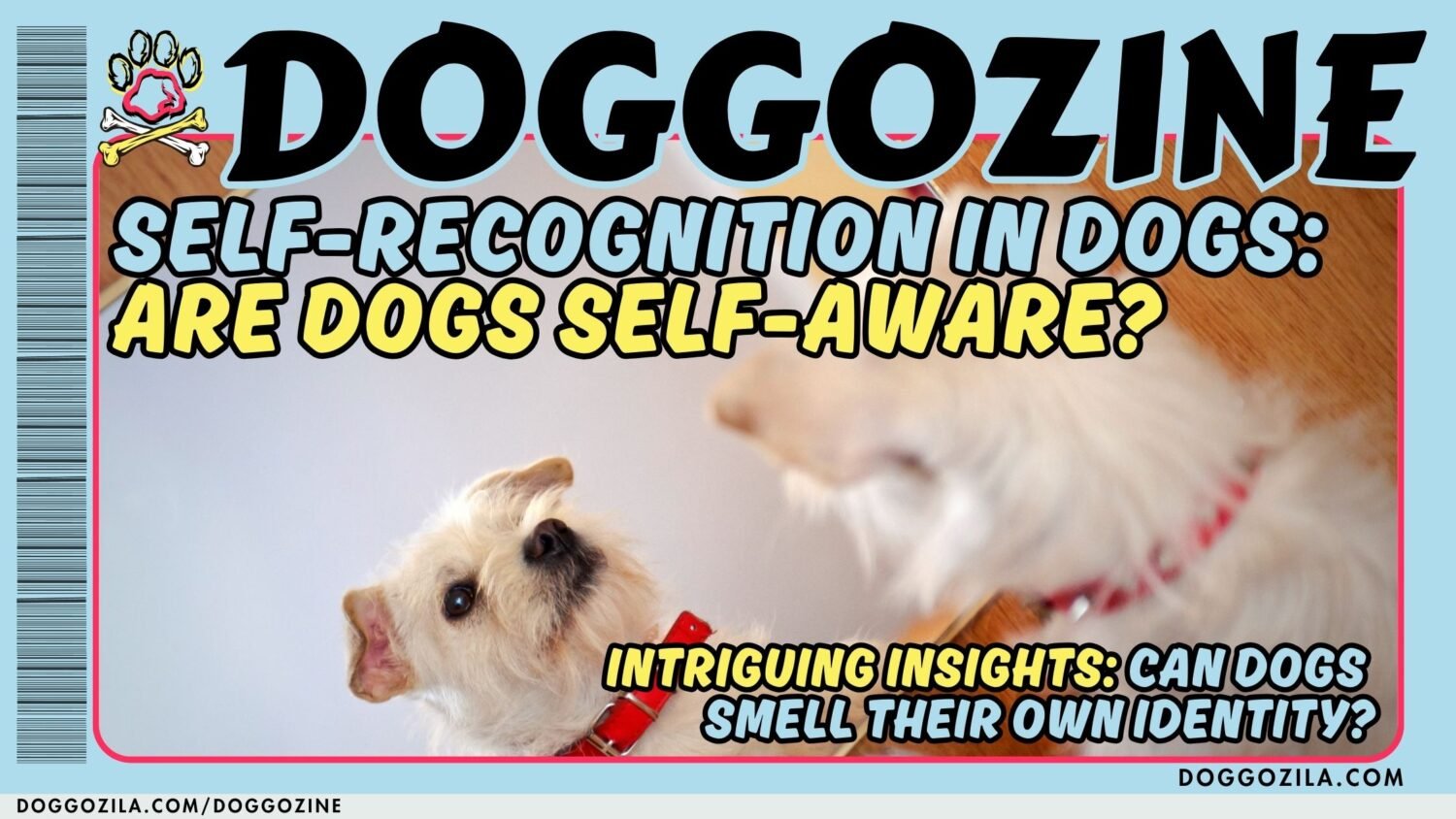 self-recognition in dogs