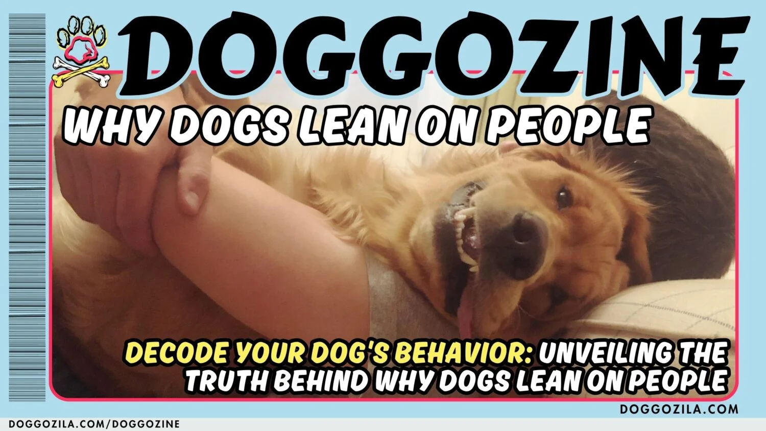 dog magazine cover doggozine by doggozila