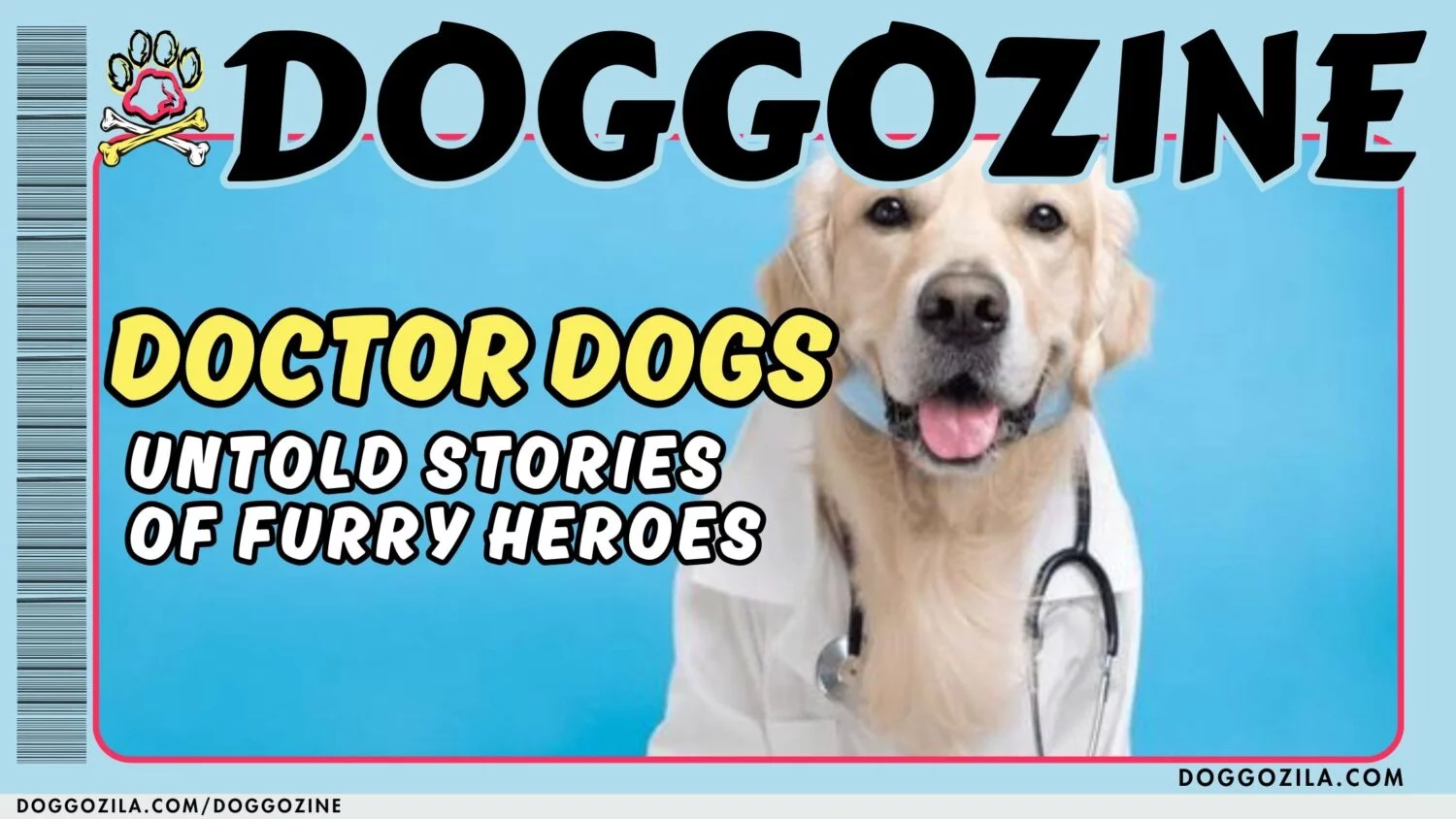 doctor dogs