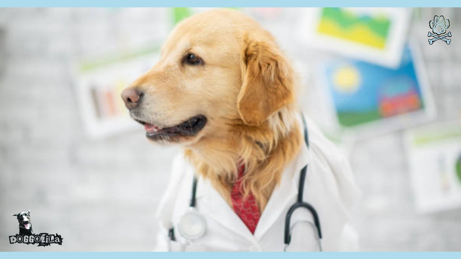 doctor dogs