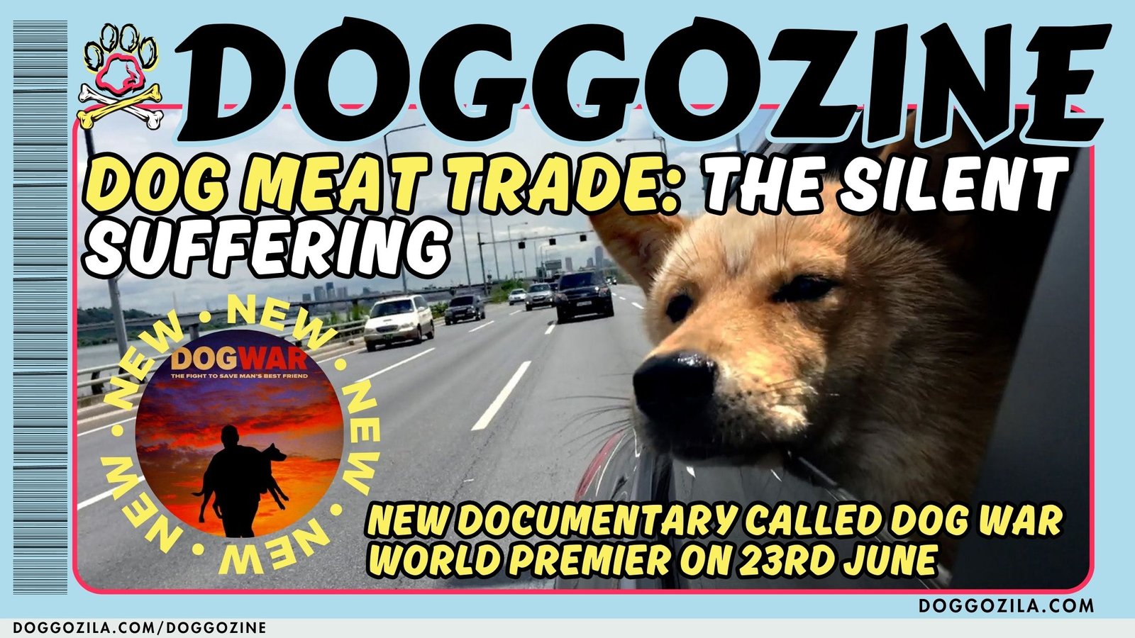 dog meat trade