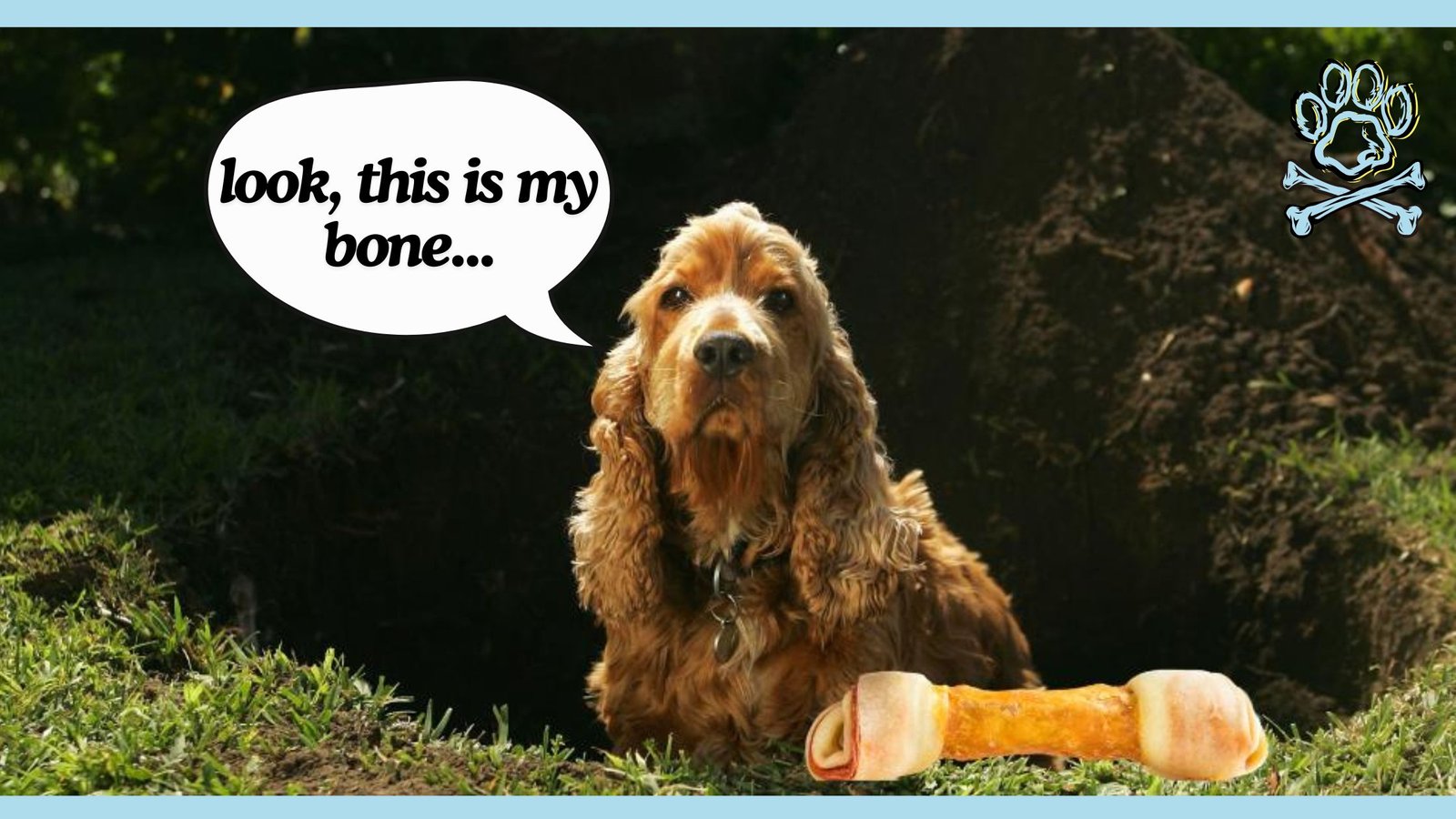 dog show his bone
