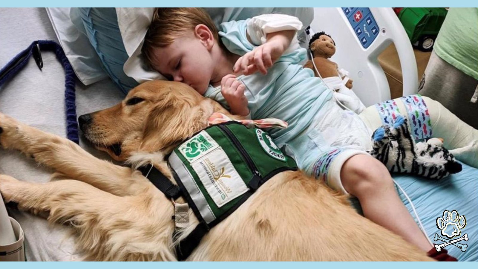 service dogs for children with autism