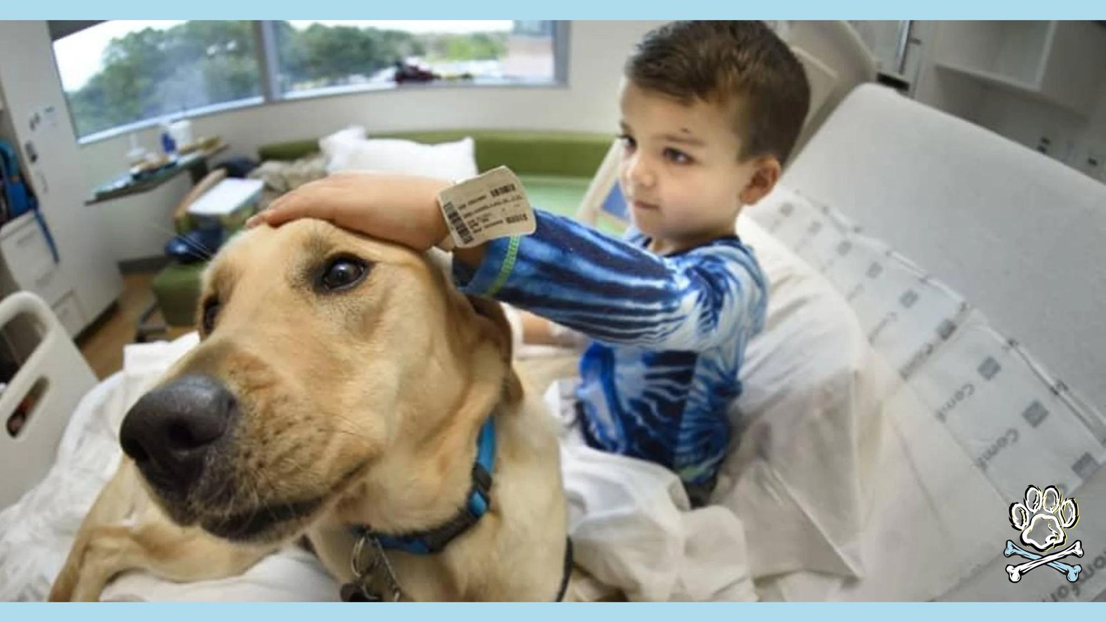 kid and doggo bond