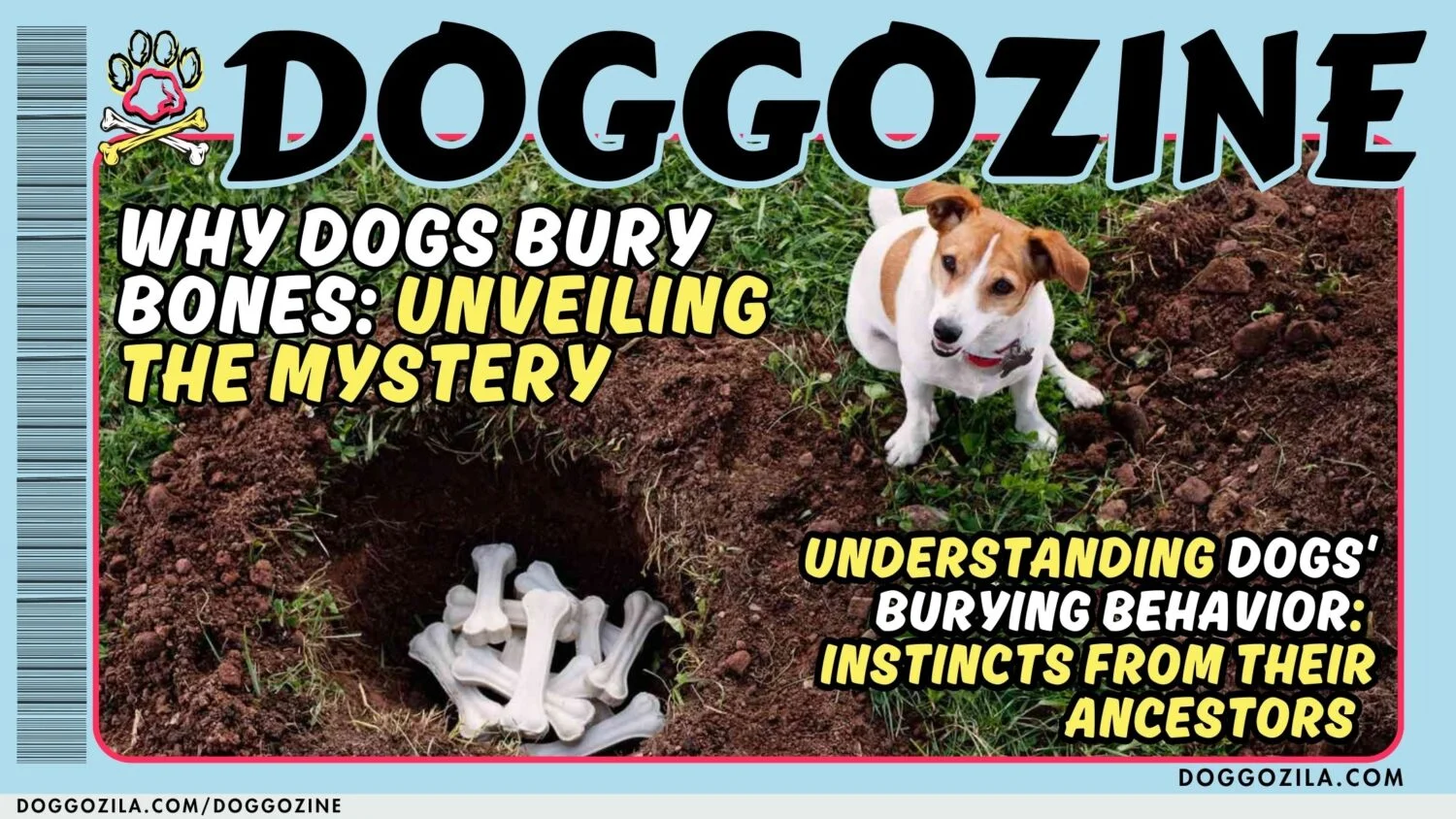 WHY DOGS BURY BONES