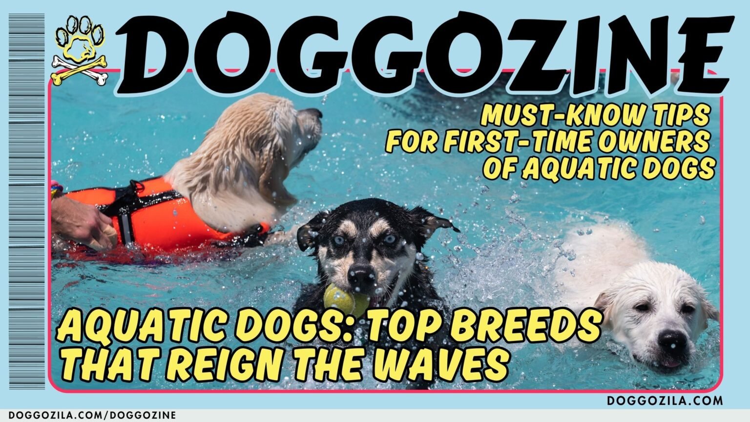 Aquatic Dogs
