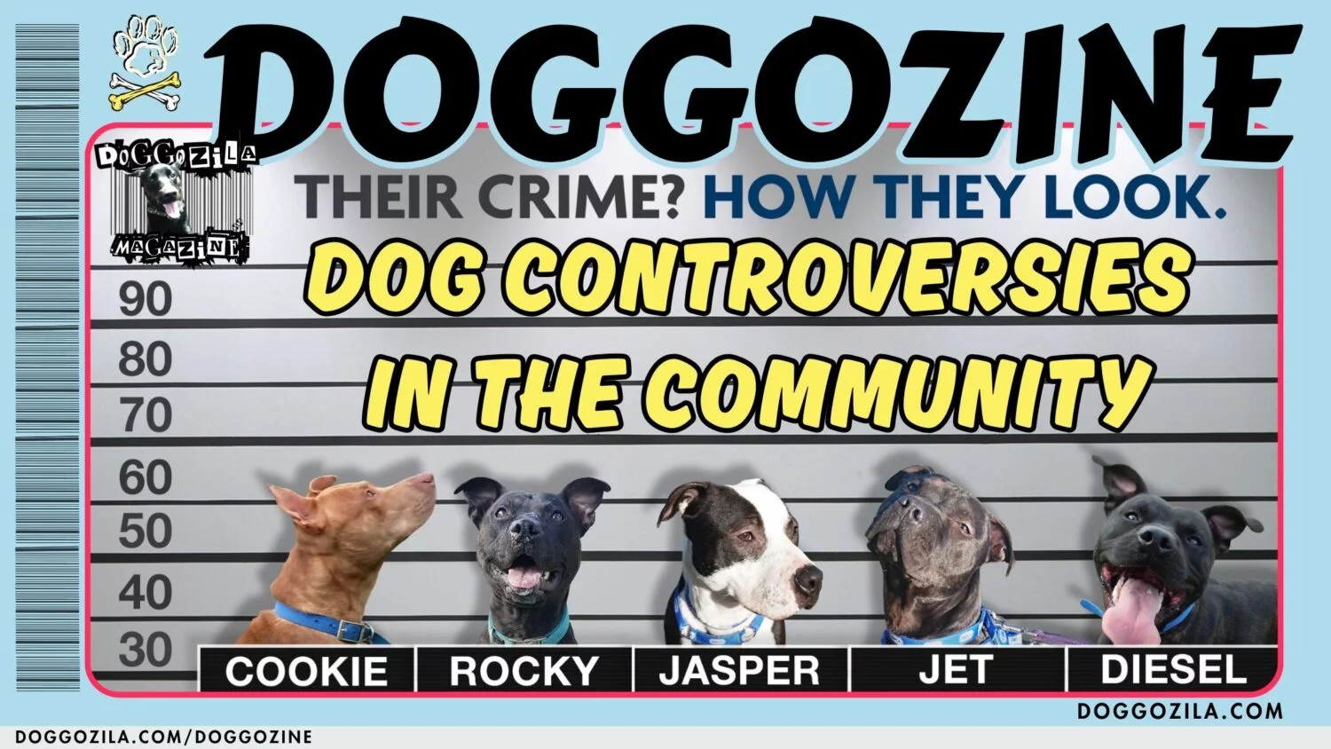 DOG CONTROVERSIES