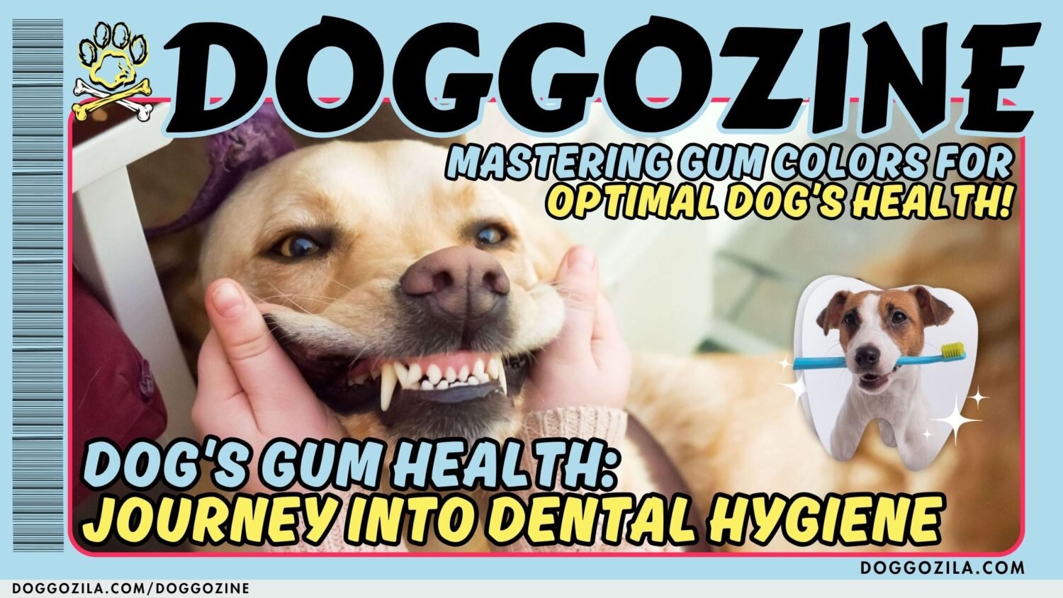 check your dog teeth