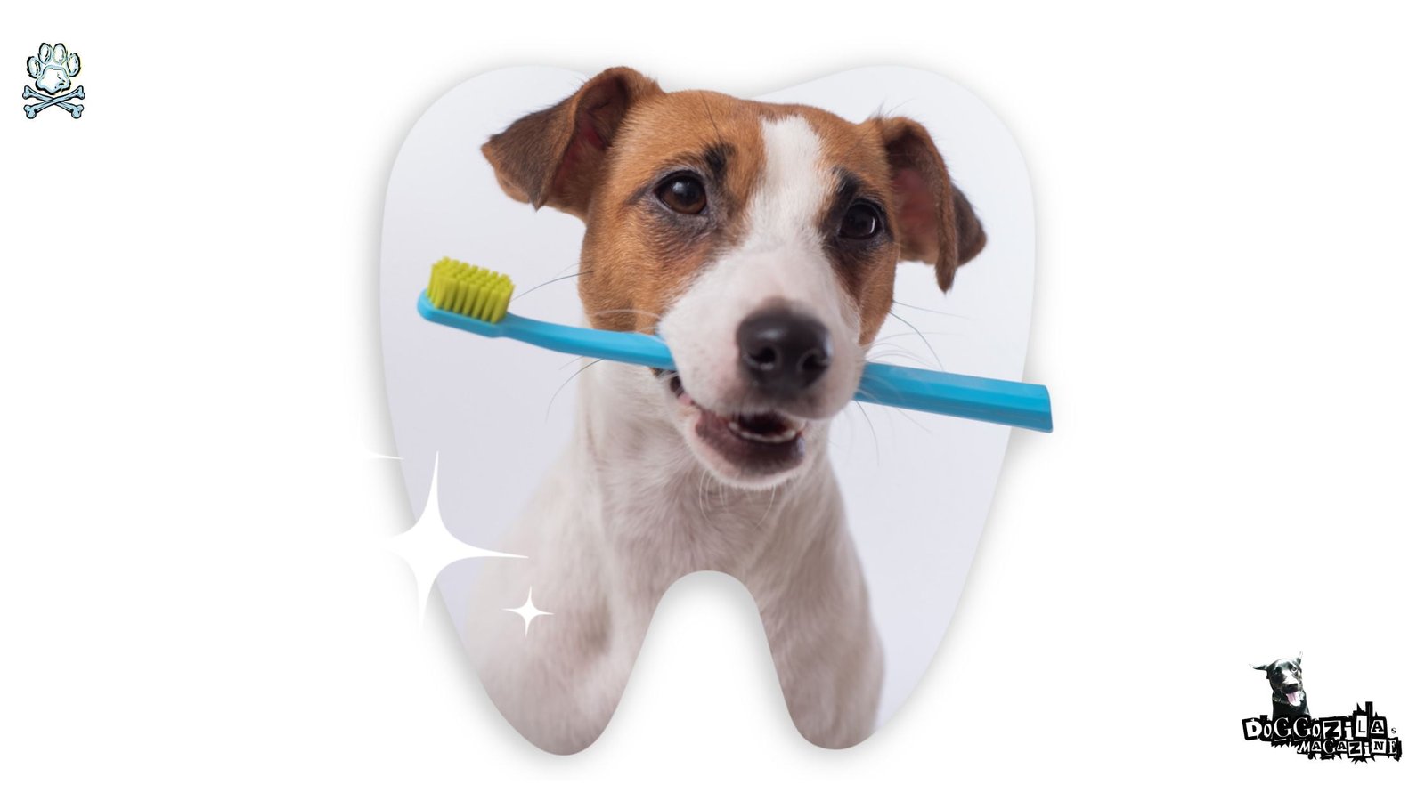 dental dog health