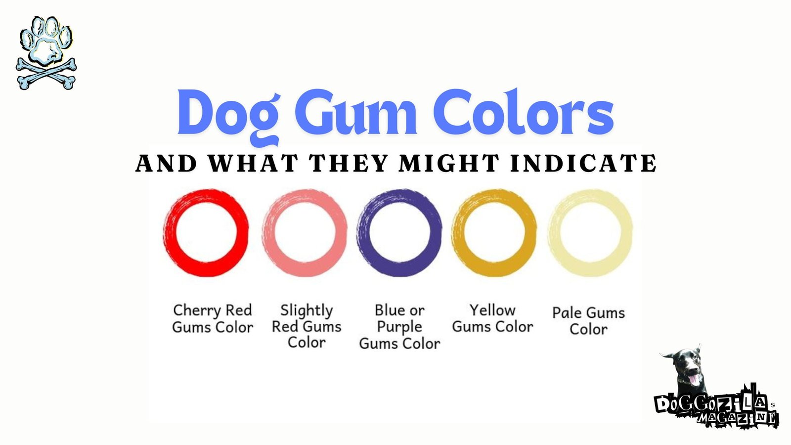 dog gum colors