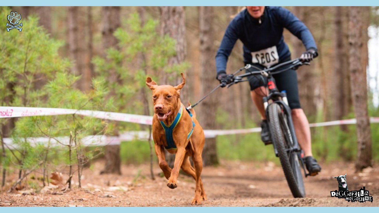 biking with your dog