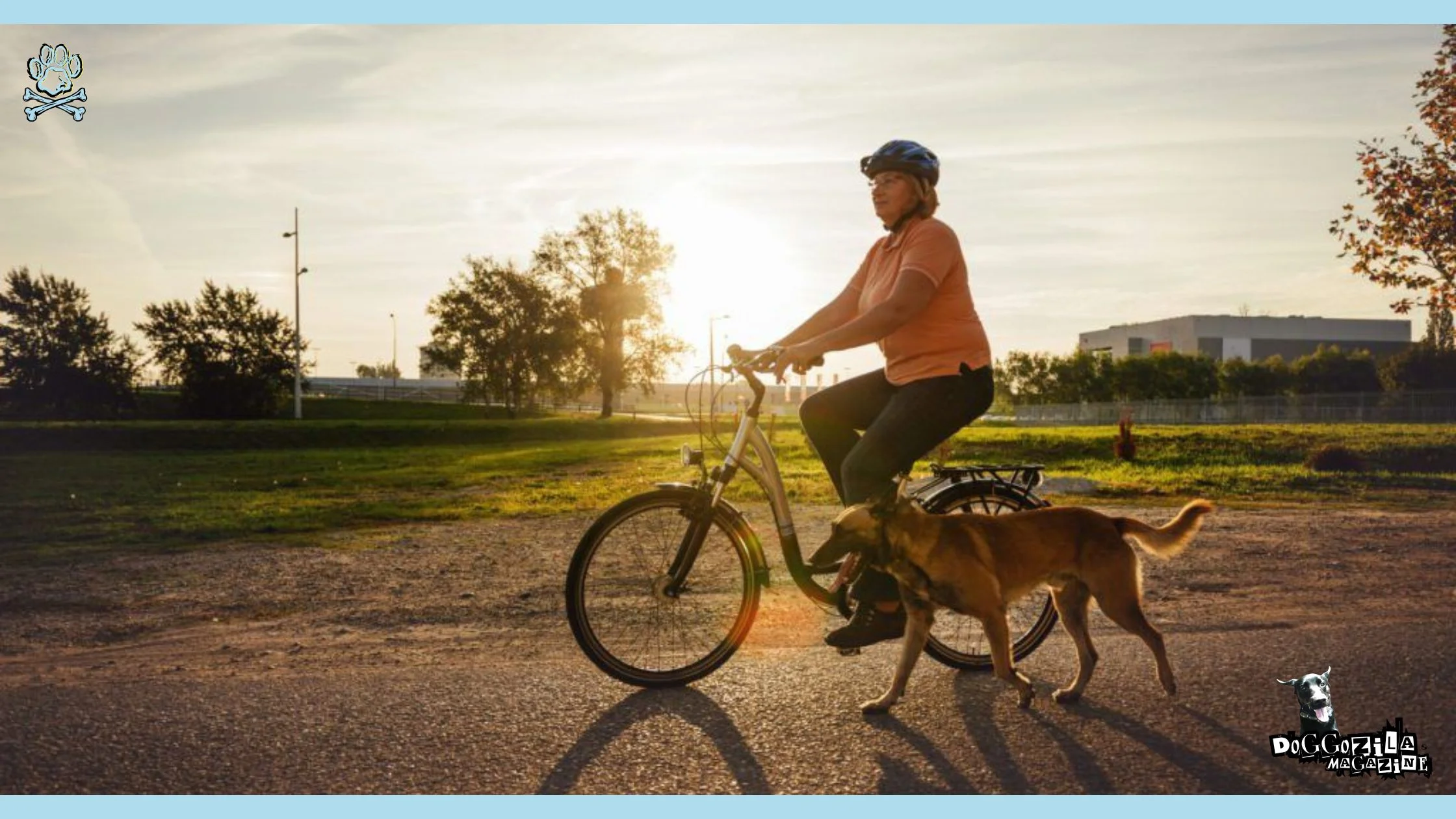 dog travel adventures biking with your dog
