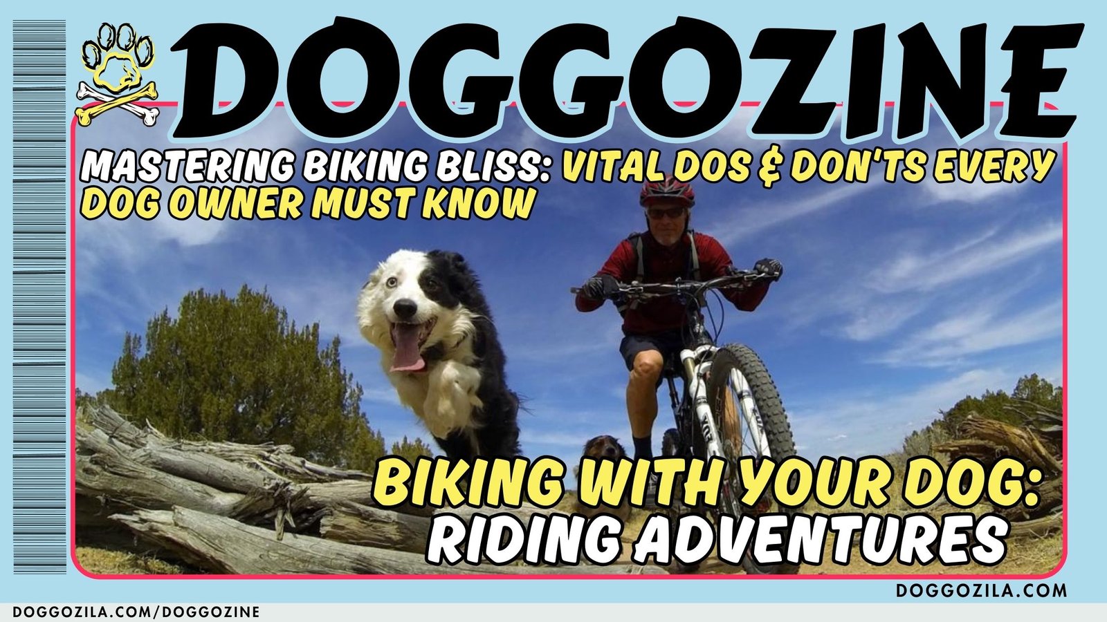 Biking With Your Dog: Riding Adventures