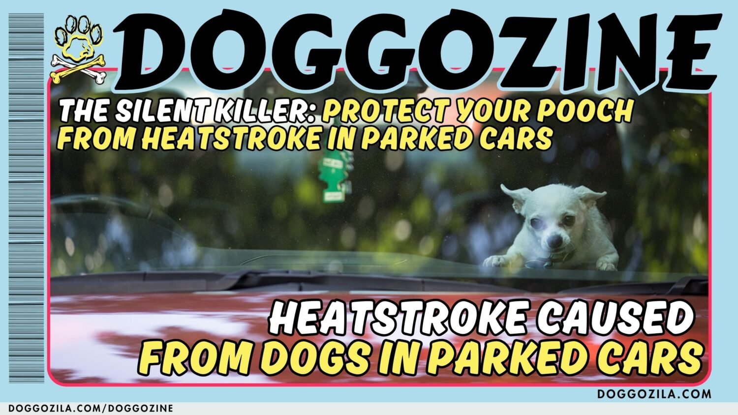 HEATSTROKE caused from DOGS IN PARKED CARS