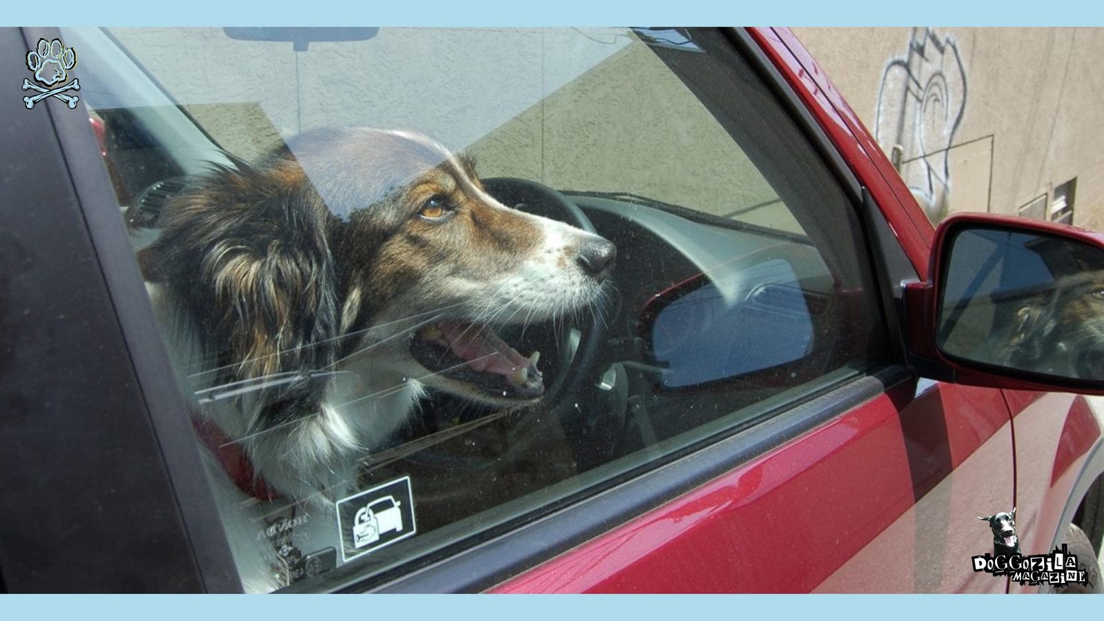 HEATSTROKE caused from DOGS IN PARKED CARS