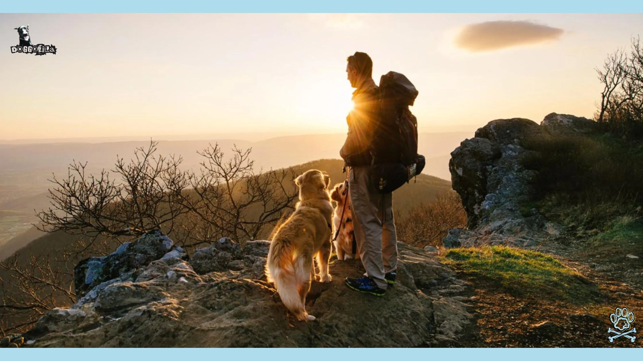 dog adventures hiking with your dog