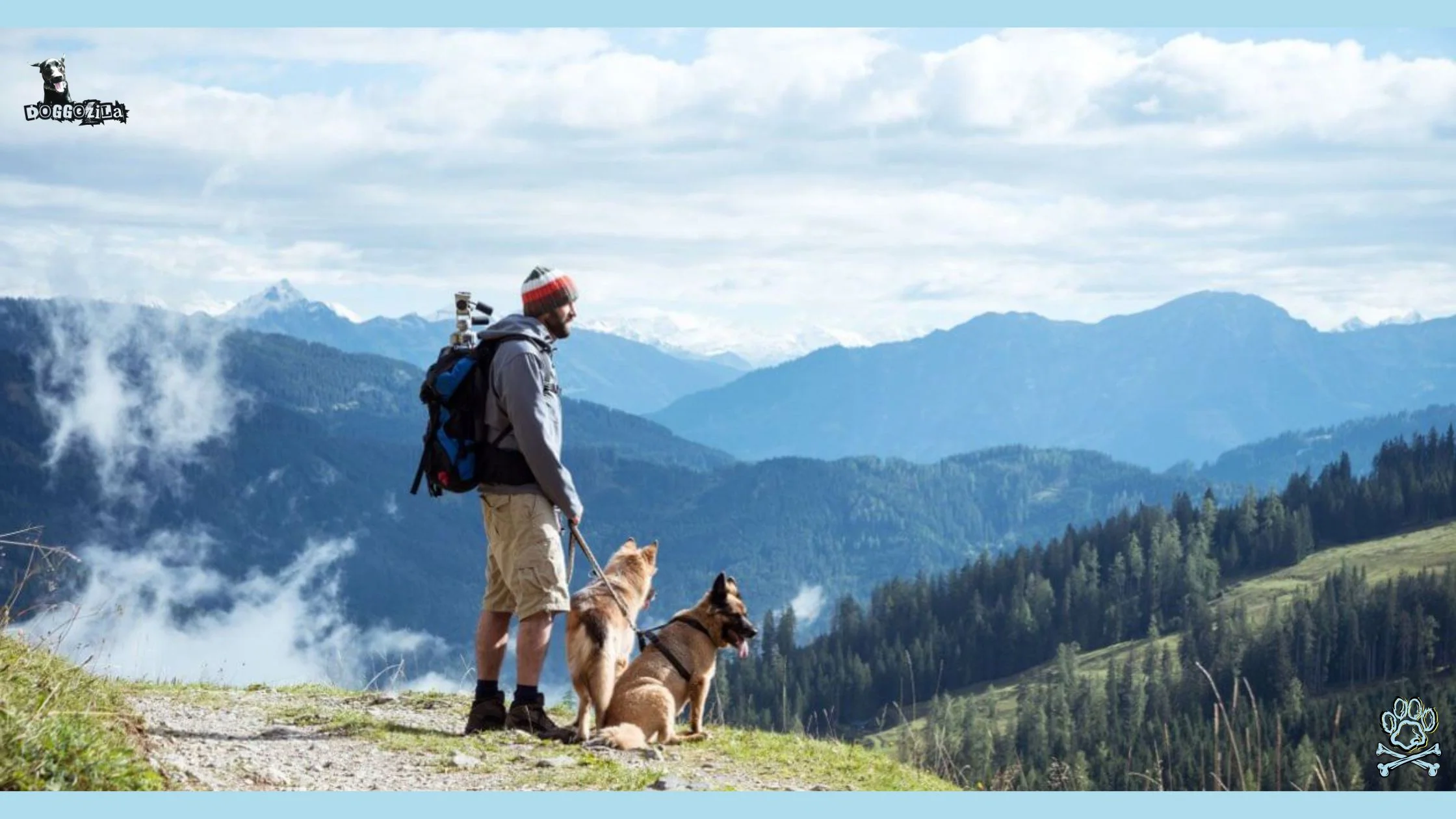 dog adventures hiking with your dog