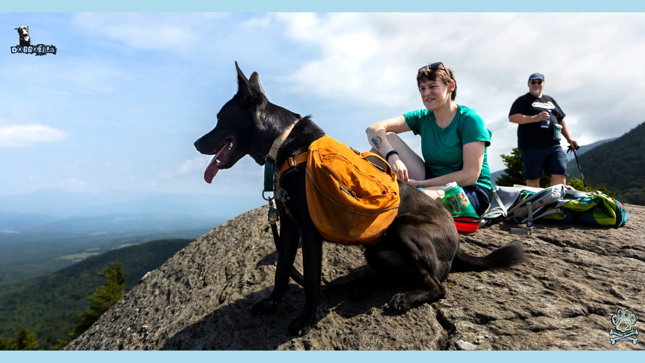 hiking with your dog