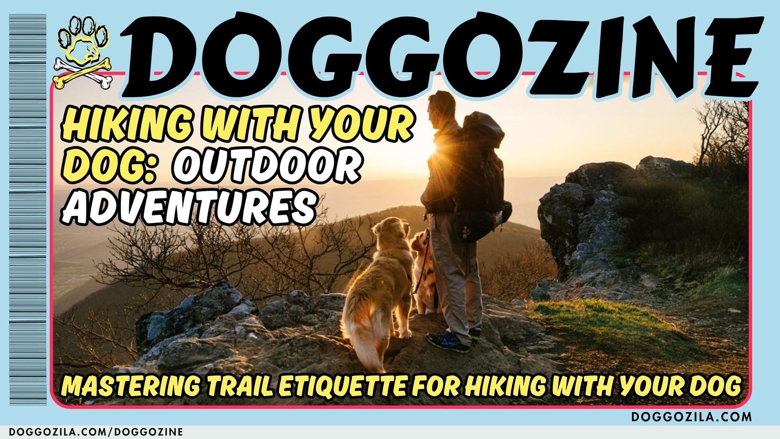 Hiking With Your Dog: Outdoor Adventures
