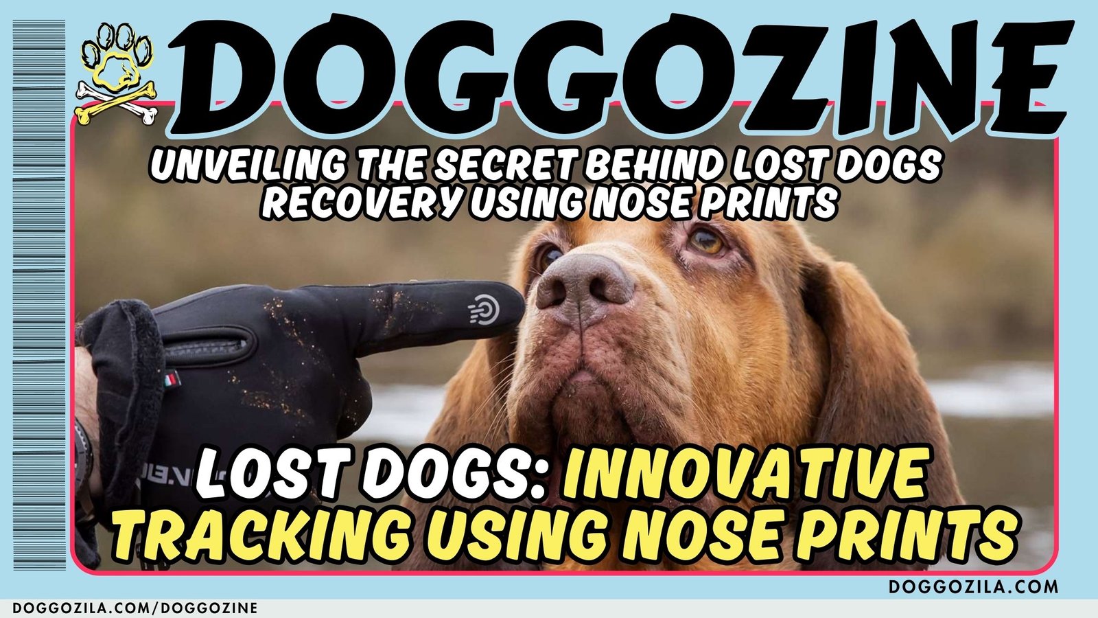Lost Dogs: Innovative Tracking Using Nose Prints