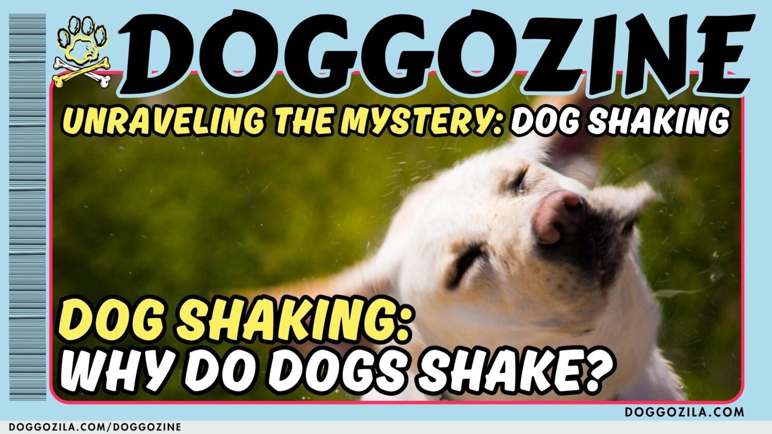 DOG SHAKING DOGGOZINE