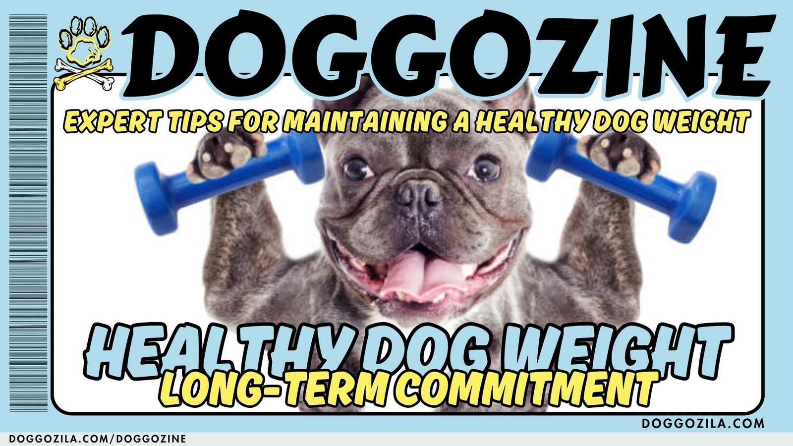 Healthy Dog Weight: Long-Term Commitment