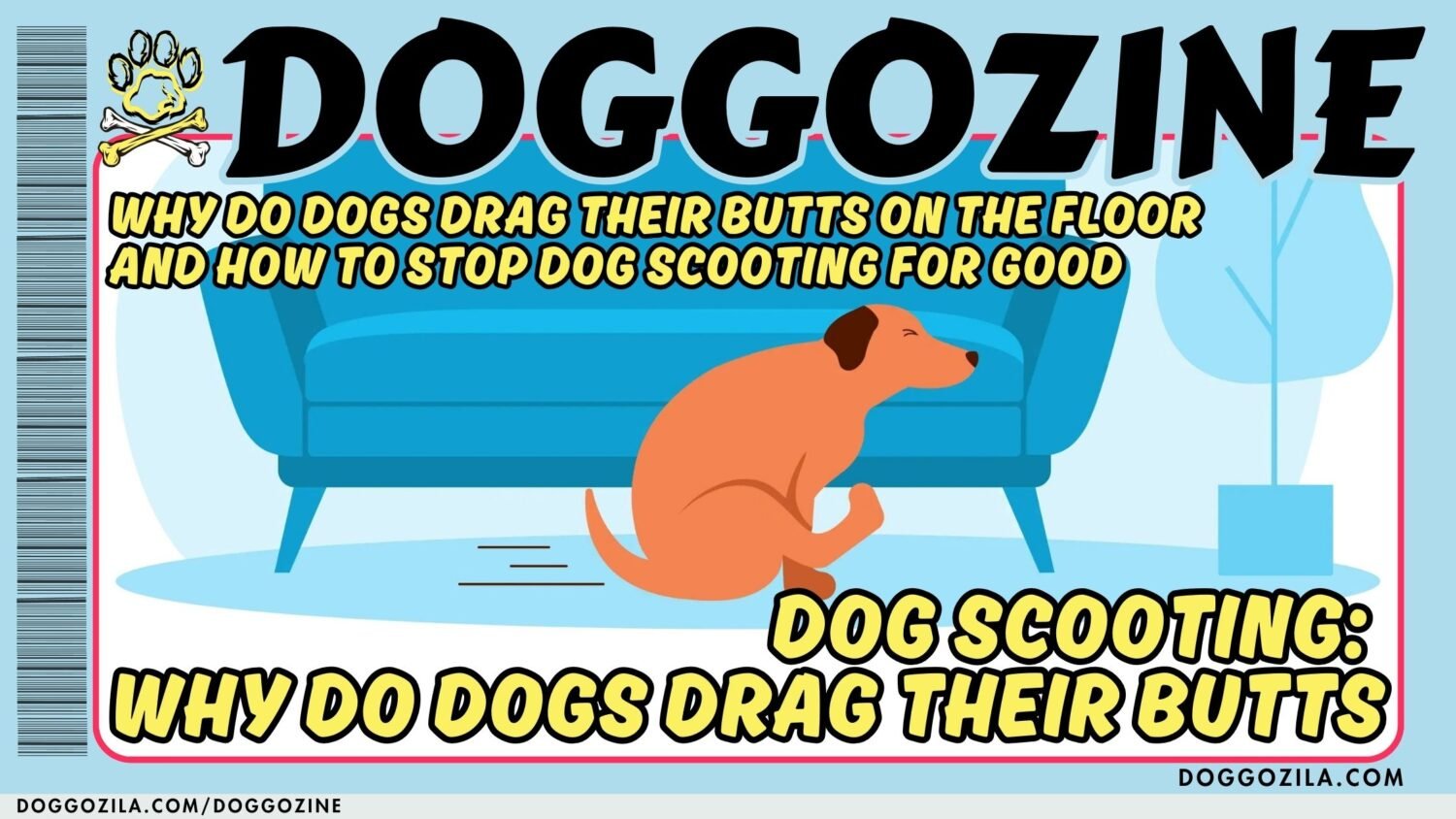 how to stop dogs to drag their butts on the floor