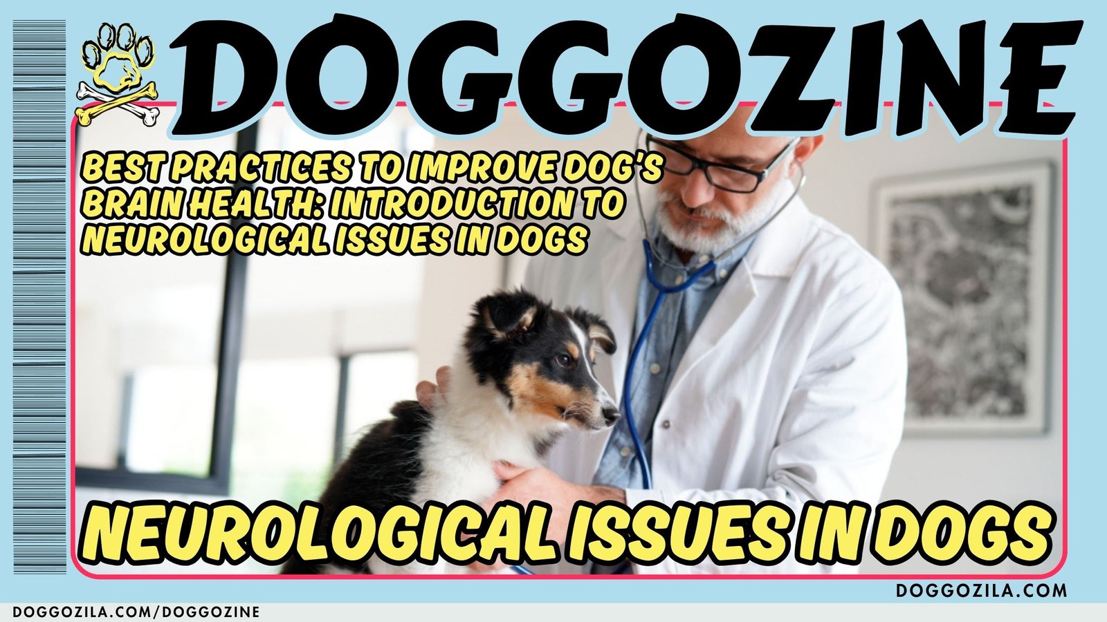 Neurological Issues In Dogs: Improve Dog’s Brain Health
