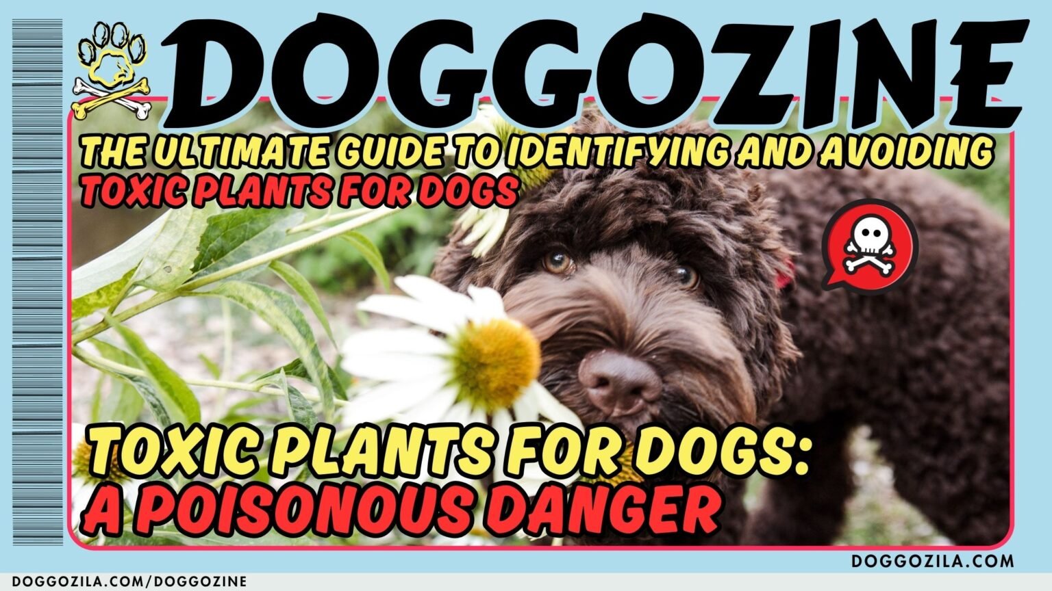 Dangerous dog poison