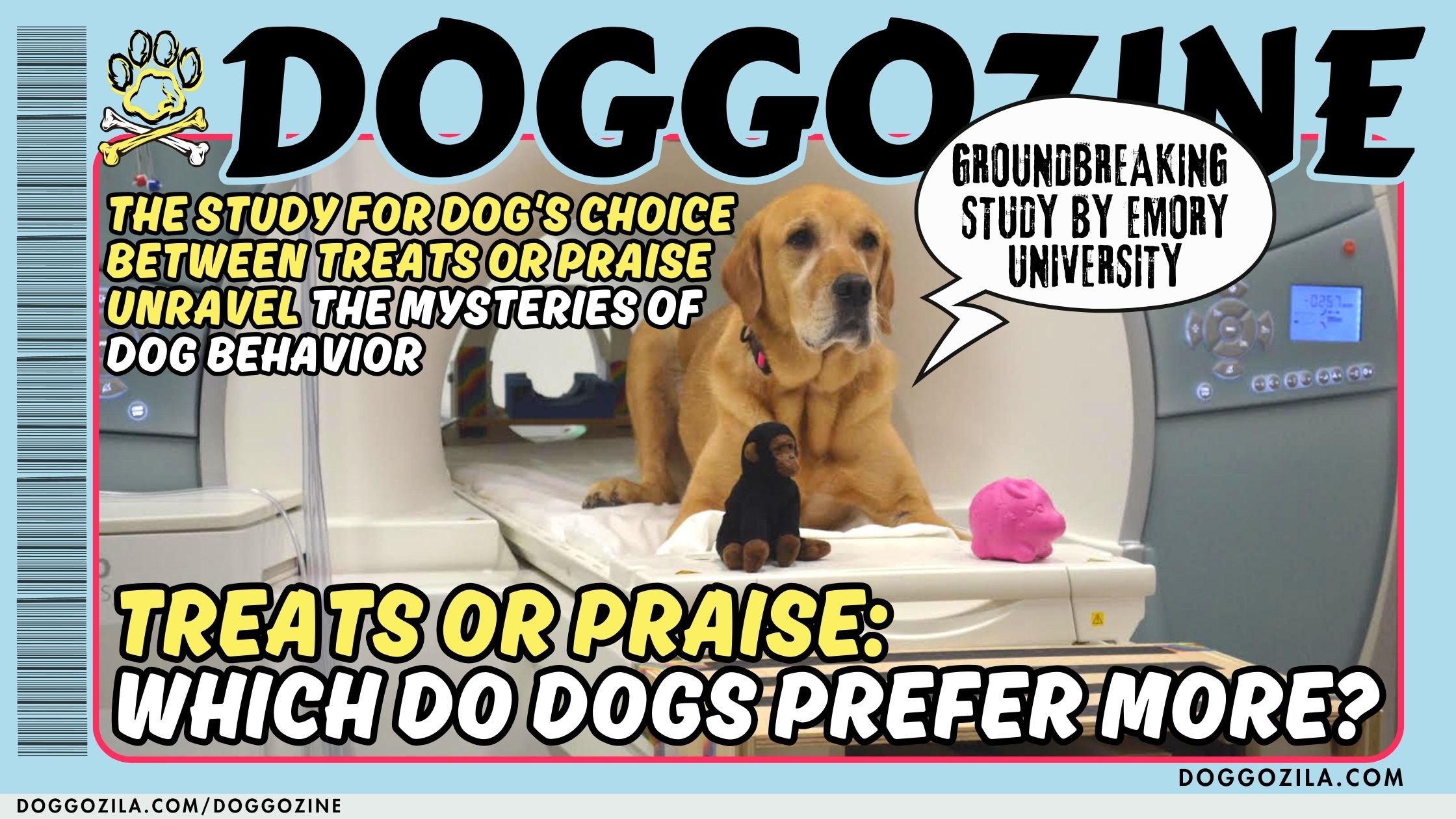 Treats Or Praise: Which Do Dogs Prefer More?
